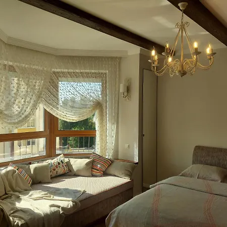Apartment Новинка! Эко-Студия С Камином, Метро Спортивная Minsk